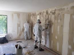 Best Forensic Mold Investigation in Greencastle, PA